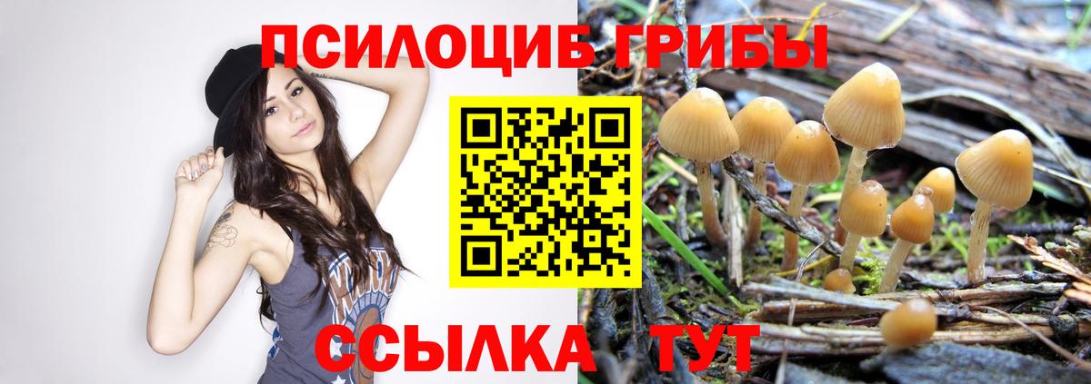 Вышний Волочёк  Псилоцибиновые грибы ЛСД  Псилоцибиновые грибы MAGIC MUSHROOMS  Вход с VPN 